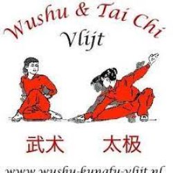 wushu tai chi